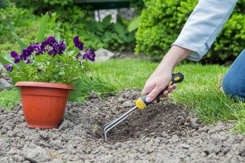A person uses a hand cultivator to loosen soil in a garden, with a pot of purple flowers nearby. Green grass and plants fill the background, perfect inspiration for any paving contractor in Hunterdon, Mercer County NJ & Bucks County PA.