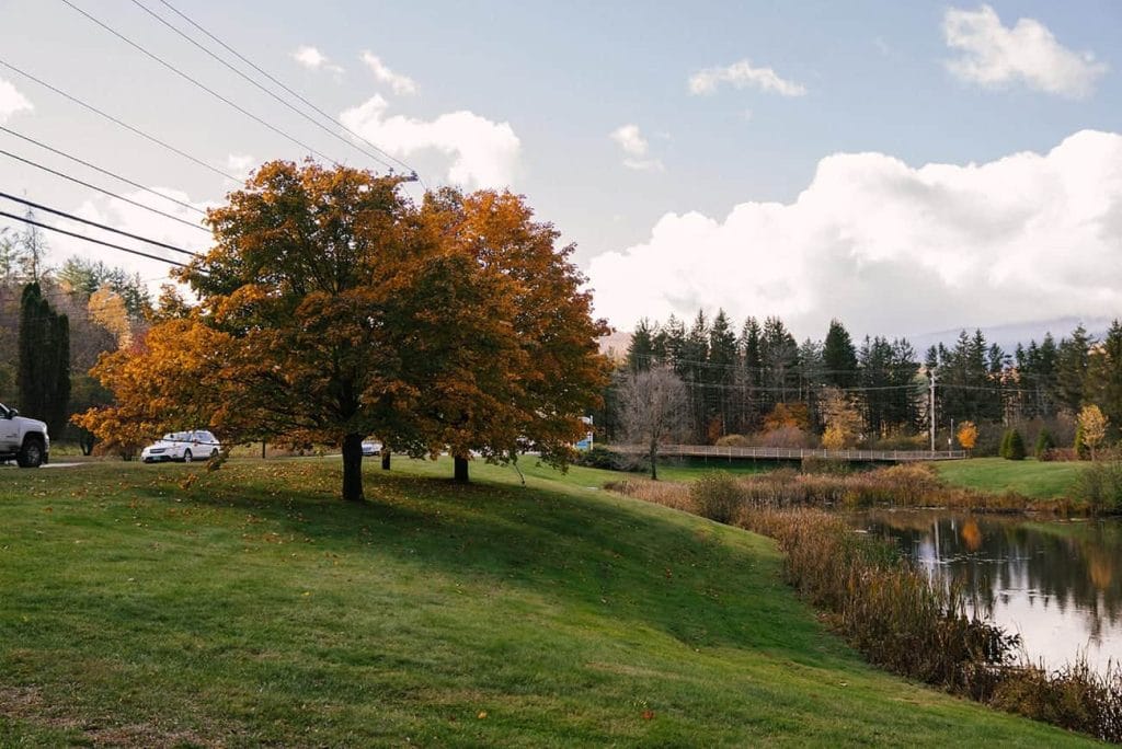 Two trees with orange autumn leaves stand by a grassy slope near a pond. Cars, possibly parked by a paving contractor serving Hunterdon, Mercer County NJ & Bucks County PA, sit on a road near pine trees under a partly cloudy sky.