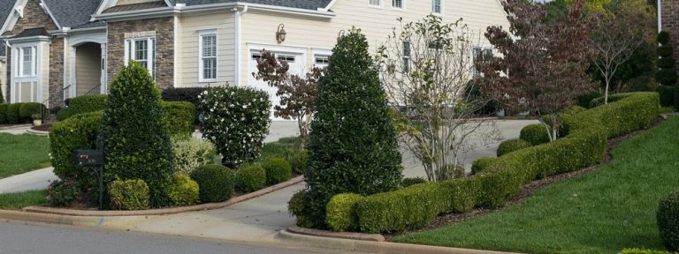 Suburban house with trimmed hedges and bushes lining the driveway and walkway