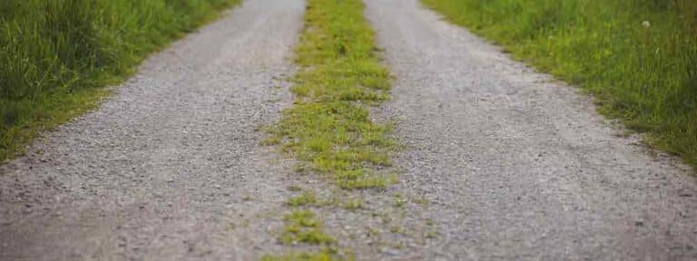 Gravel road with two tire tracks and a strip of grass down the middle