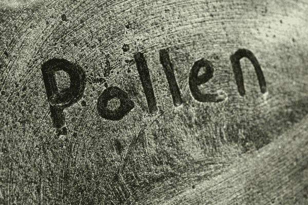 Is Pollen Bad for Your Driveway? How to Manage It the Right Way